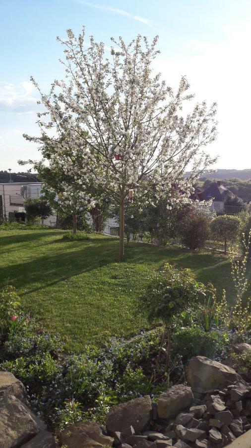 Ferienwohnung Sayntalblick Caan Kültér fotó