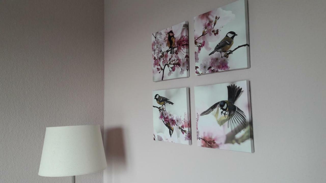 Ferienwohnung Sayntalblick Caan Kültér fotó